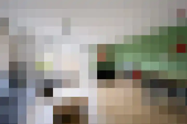 Lau Mazirelstraat 8 Spijkenisse thumbnail 11