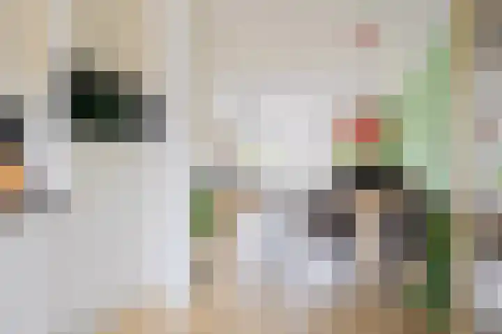 Lau Mazirelstraat 8 Spijkenisse thumbnail 12
