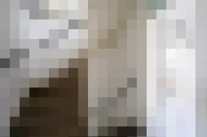Lau Mazirelstraat 8 Spijkenisse thumbnail 15