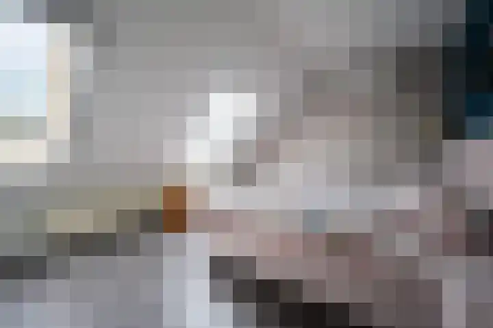 Lau Mazirelstraat 8 Spijkenisse thumbnail 16