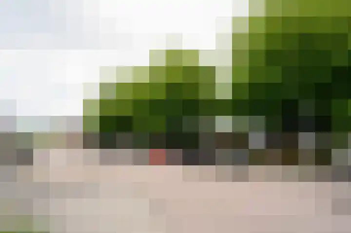 Lau Mazirelstraat 8 Spijkenisse thumbnail 23