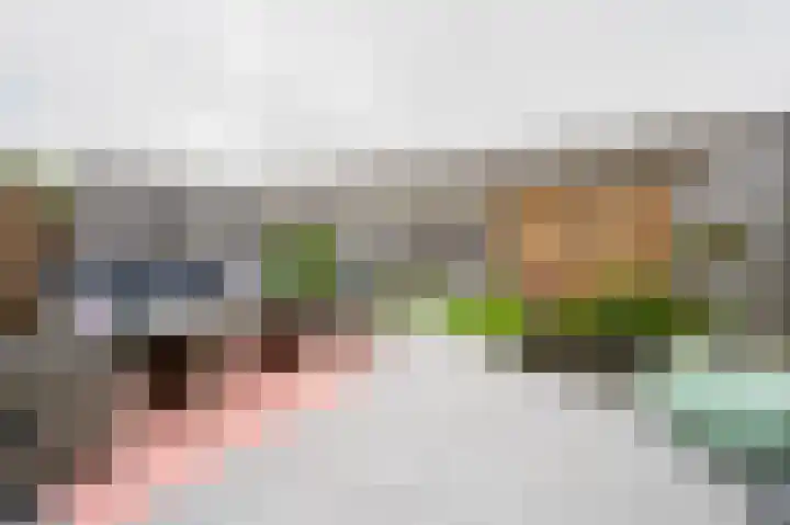 Lau Mazirelstraat 8 Spijkenisse thumbnail 4