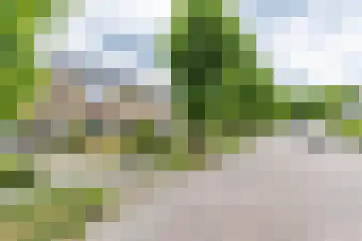 Lauermanstraat 11 Burgum thumbnail 5