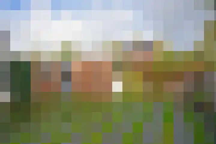 Lauermanstraat 45 Burgum thumbnail 10