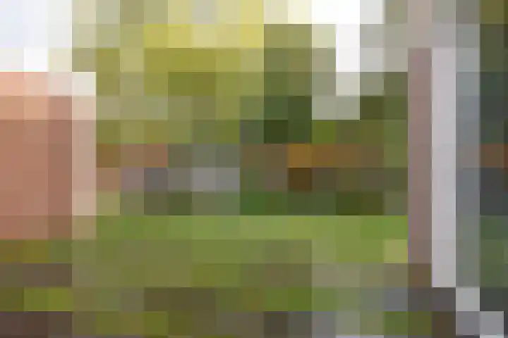 Lauermanstraat 45 Burgum thumbnail 11
