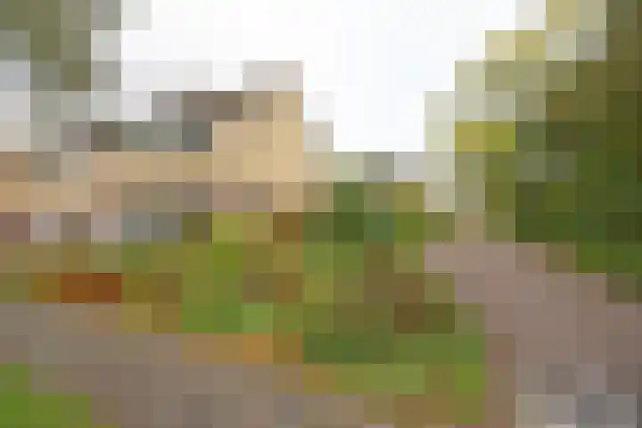 Lauermanstraat 45 Burgum thumbnail 4
