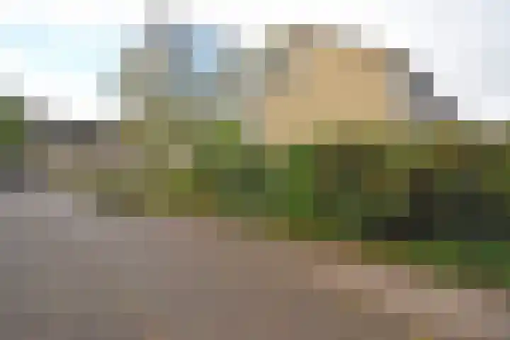 Lauermanstraat 45 Burgum thumbnail 5