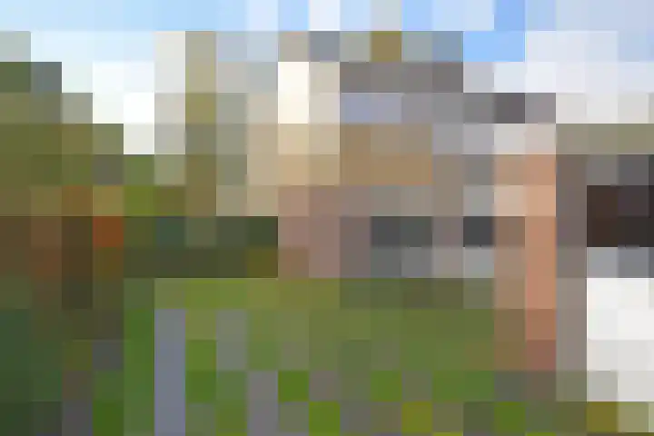 Lauermanstraat 45 Burgum thumbnail 7