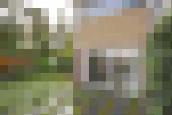 Lauermanstraat 45 Burgum thumbnail 8