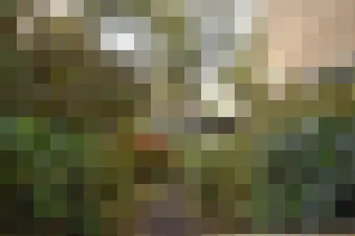 Lauermanstraat 45 Burgum thumbnail 9