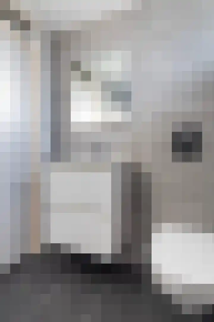 Lauermanstraat 55 Burgum thumbnail 33