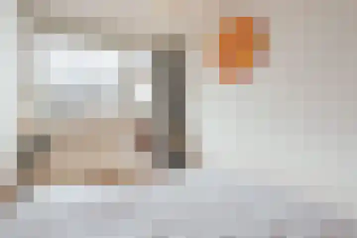 Lauernessestraat 12 3 Amsterdam thumbnail 10