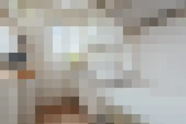 Lauernessestraat 12 3 Amsterdam thumbnail 17