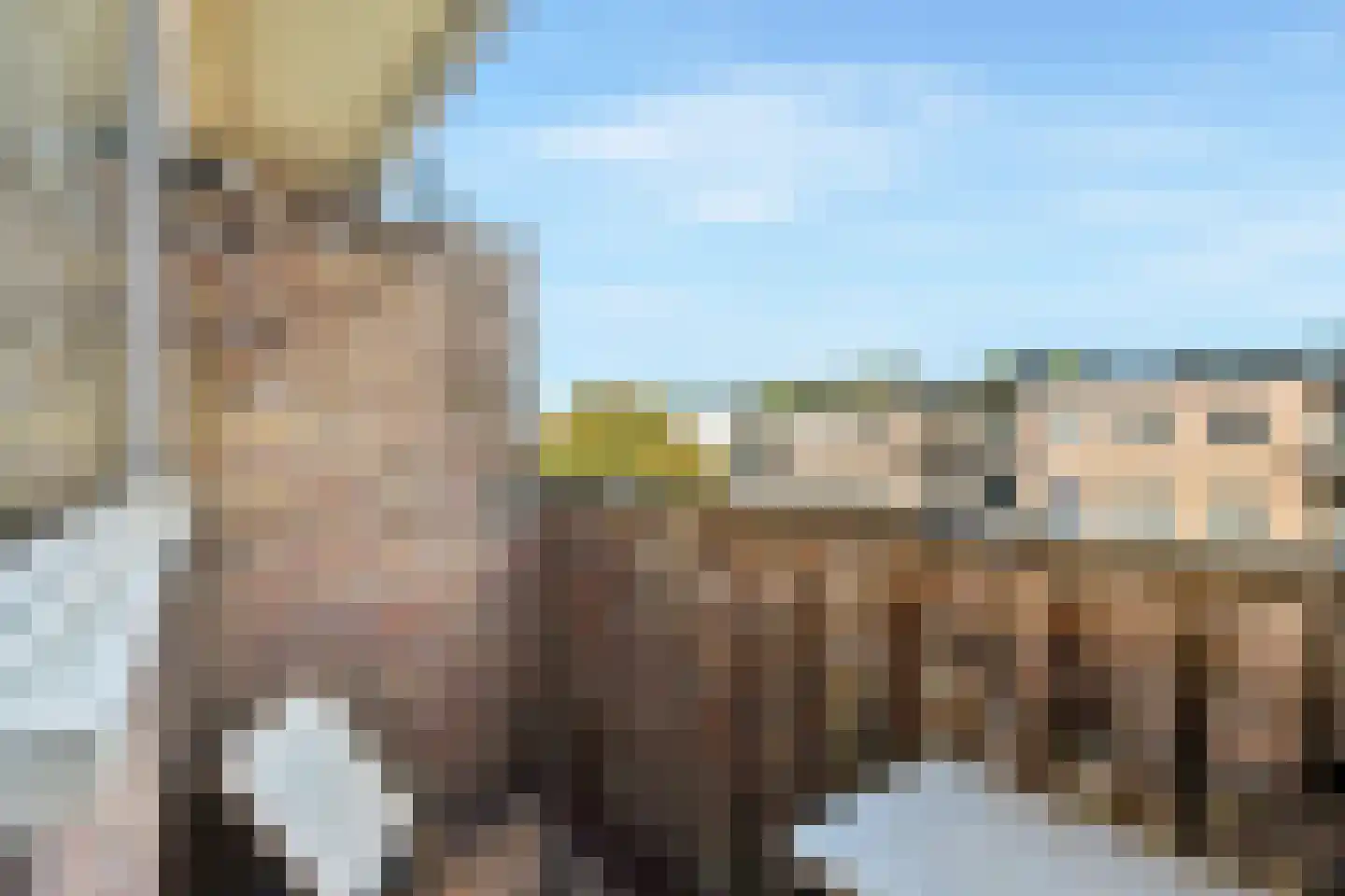 Lauernessestraat 12 3 Amsterdam thumbnail 4