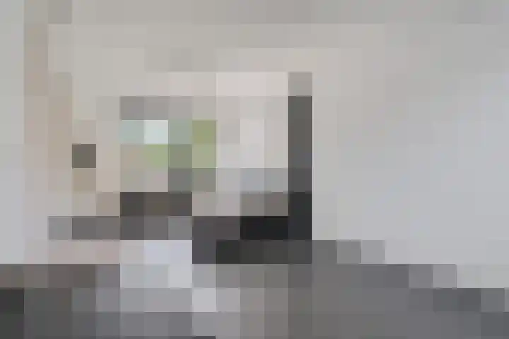 Lauernessestraat 27 Hoogvliet Rotterdam thumbnail 17