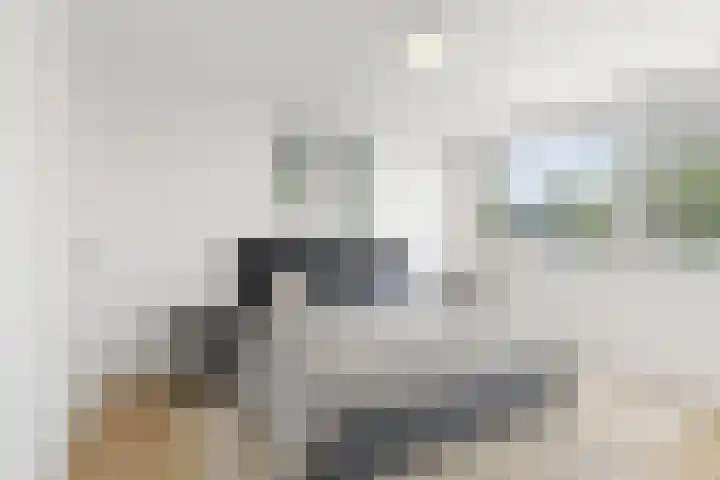 Lauernessestraat 7 Hoogvliet Rotterdam thumbnail 12