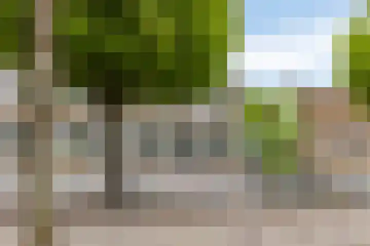 Lauernessestraat 7 Hoogvliet Rotterdam thumbnail 23
