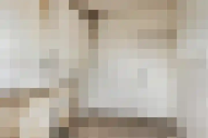 Lauernessestraat 7 Hoogvliet Rotterdam thumbnail 6