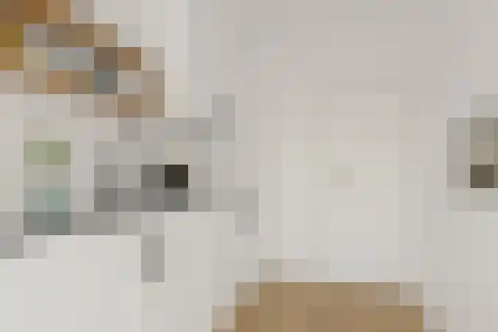 Lauernessestraat 7 Hoogvliet Rotterdam thumbnail 7