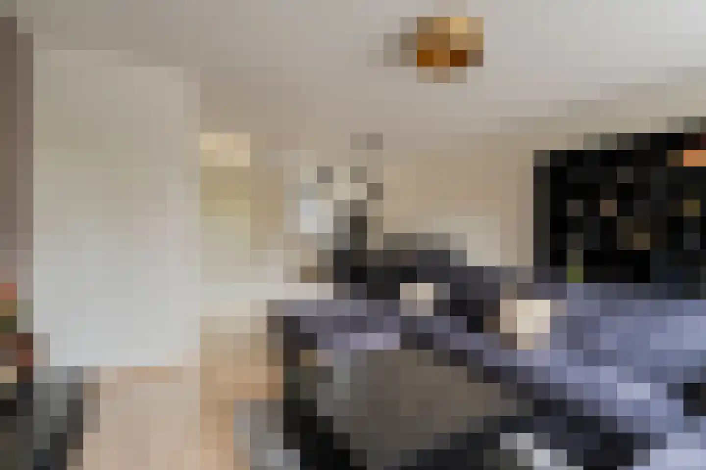 Laura Ashleystraat 15 Rotterdam thumbnail 14