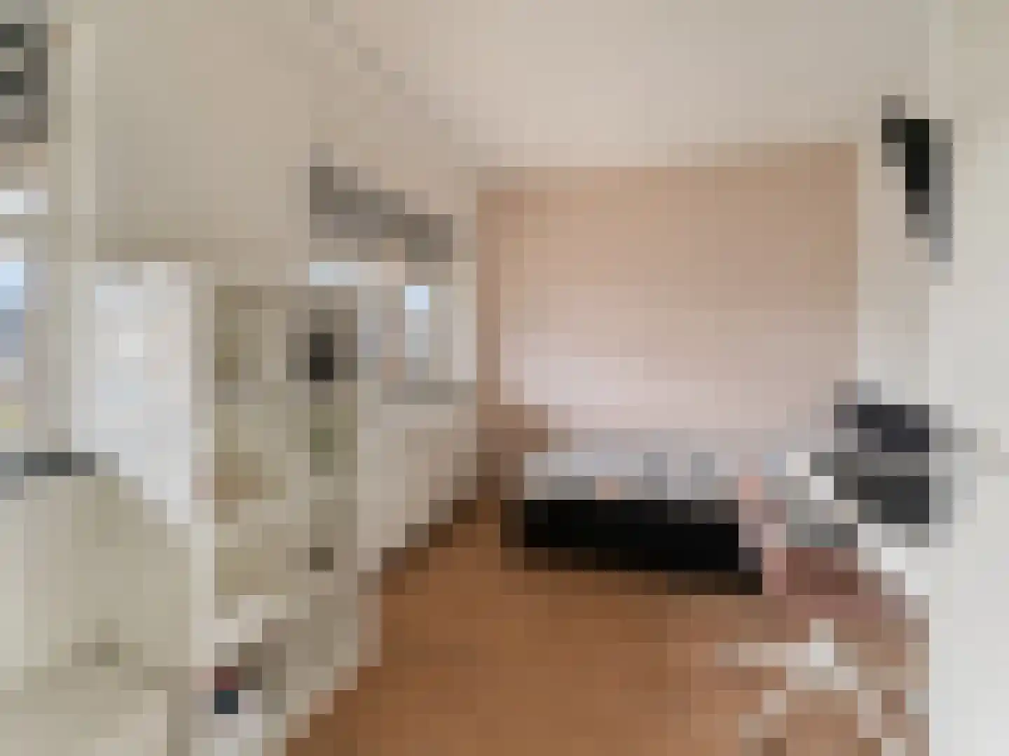 Laura Ashleystraat 15 Rotterdam thumbnail 21