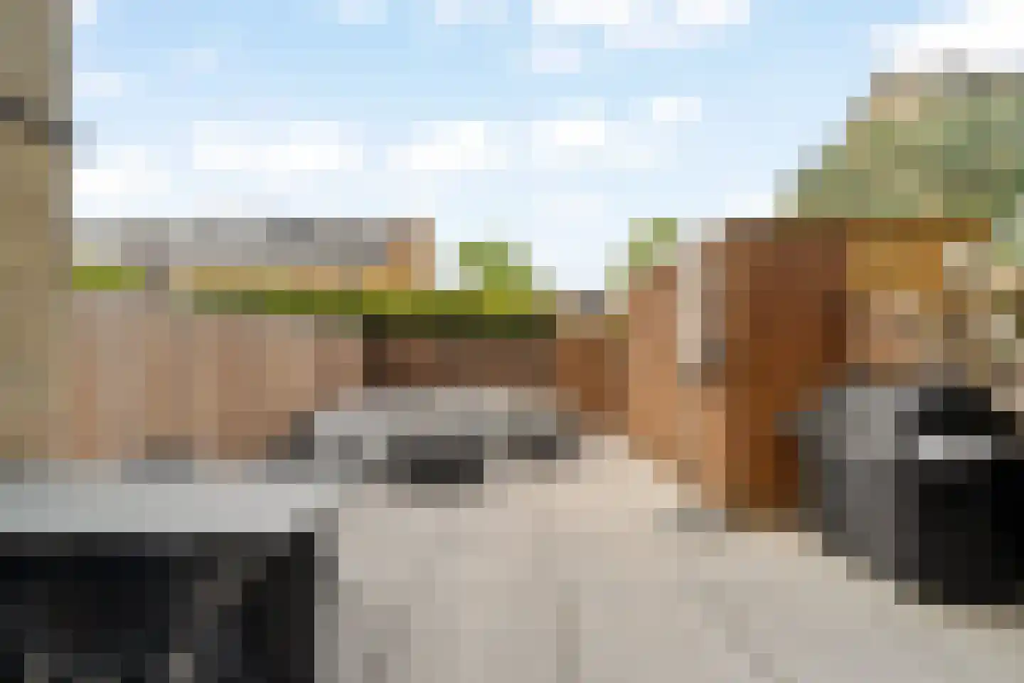 Laura Ashleystraat 15 Rotterdam thumbnail 34