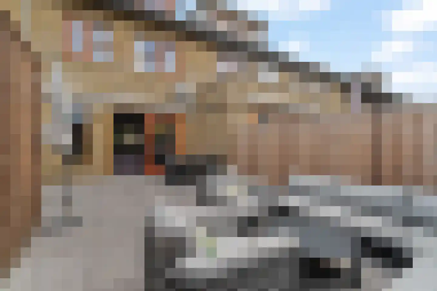Laura Ashleystraat 15 Rotterdam thumbnail 35
