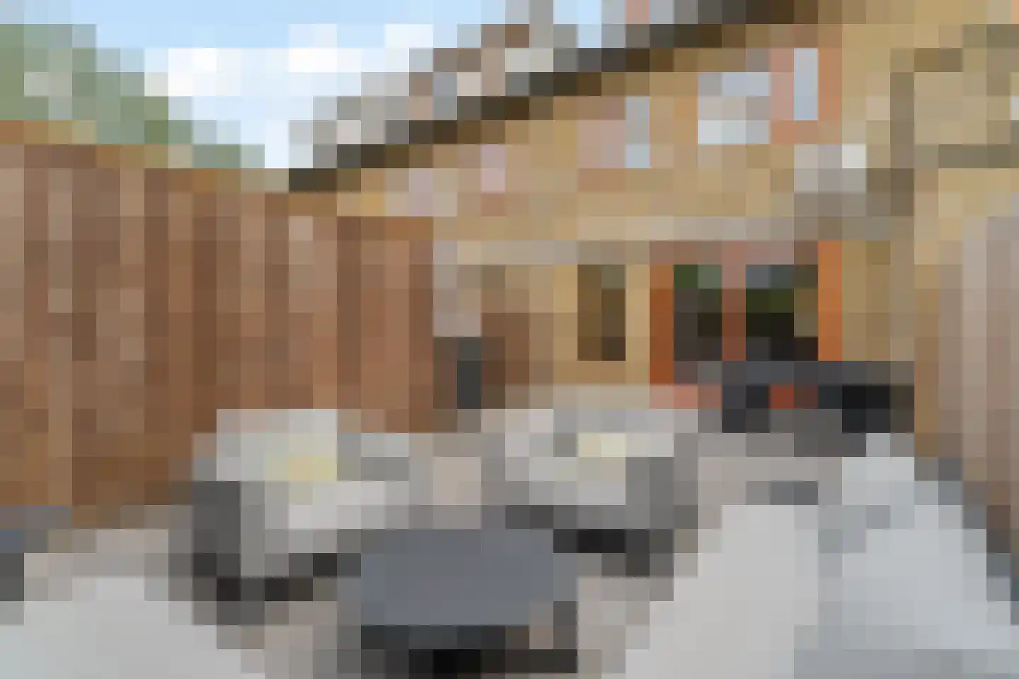 Laura Ashleystraat 15 Rotterdam thumbnail 5