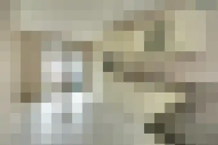 Laura Ashleystraat 33 Rotterdam thumbnail 11