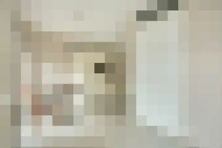 Laura Ashleystraat 33 Rotterdam thumbnail 14