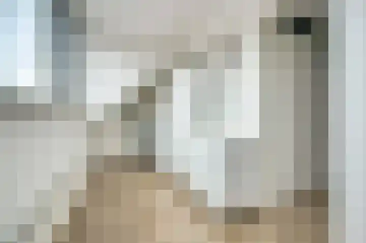Laura Ashleystraat 33 Rotterdam thumbnail 32
