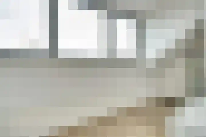 Laura Ashleystraat 33 Rotterdam thumbnail 33