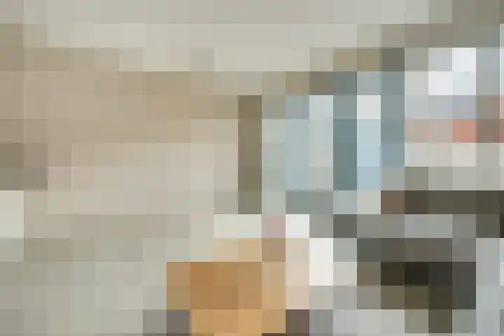 Laura Ashleystraat 33 Rotterdam thumbnail 6
