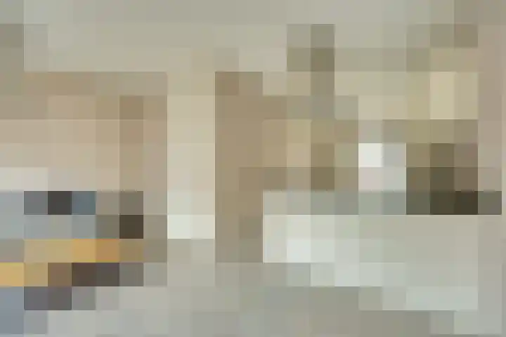 Laura Ashleystraat 33 Rotterdam thumbnail 8