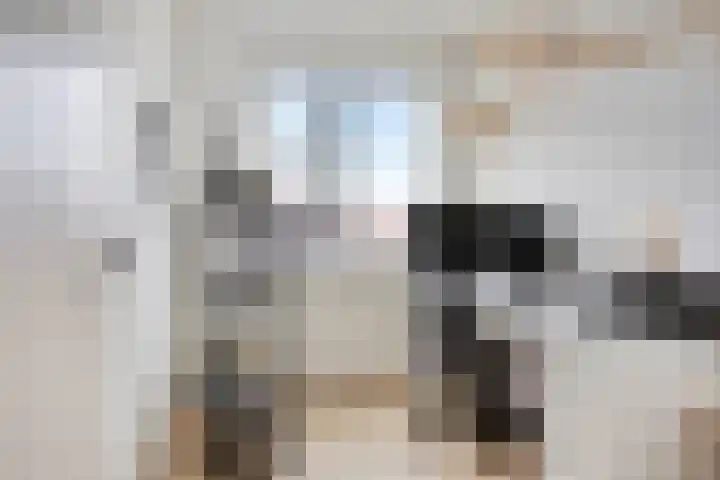Laura Bassihof 86 Almere thumbnail 26