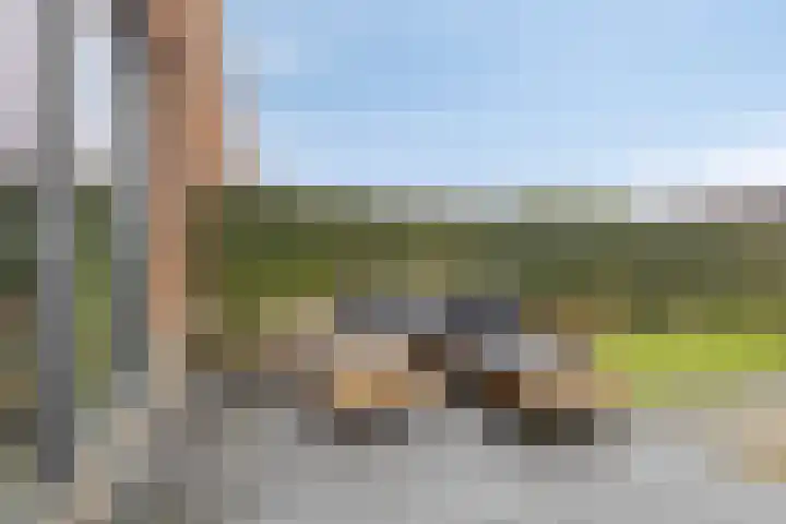 Laura Bassihof 86 Almere thumbnail 28