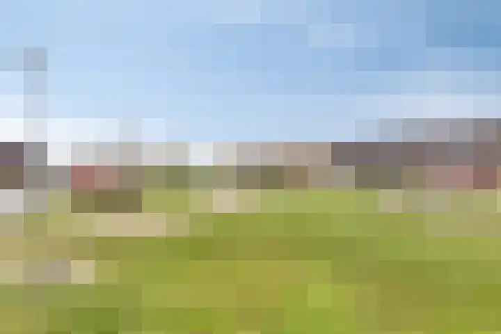 Laura Bassihof 86 Almere thumbnail 30