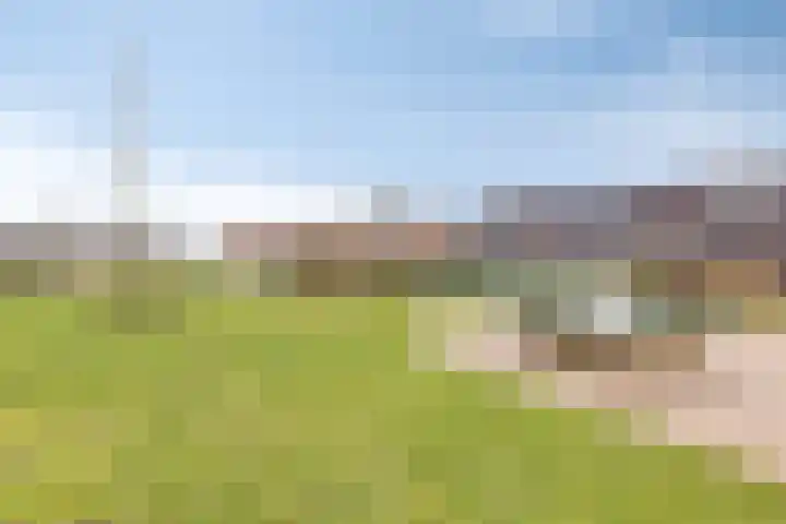 Laura Bassihof 86 Almere thumbnail 31