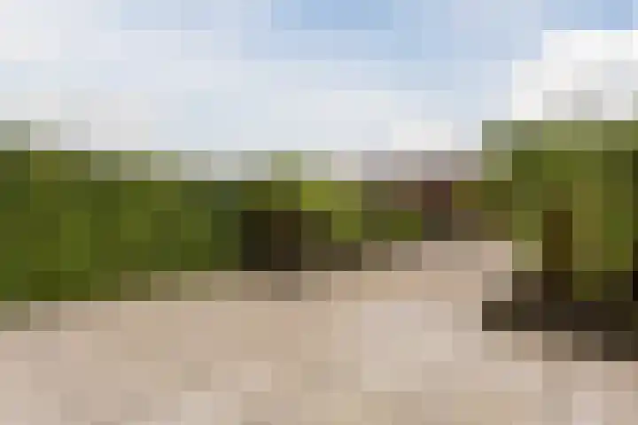 Laura Bassihof 88 Almere thumbnail 26