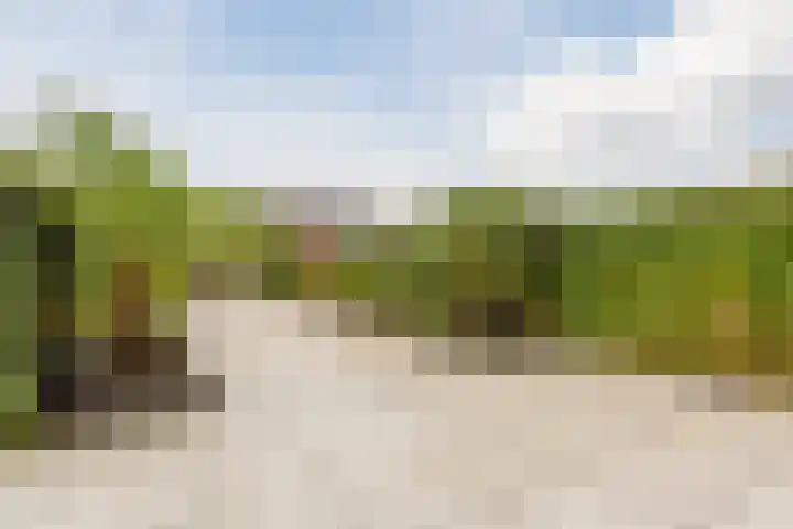 Laura Bassihof 88 Almere thumbnail 27