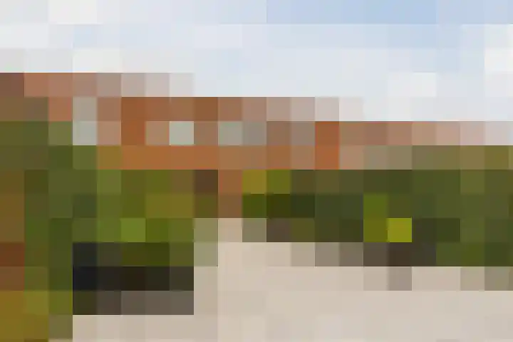 Laura Bassihof 88 Almere thumbnail 28
