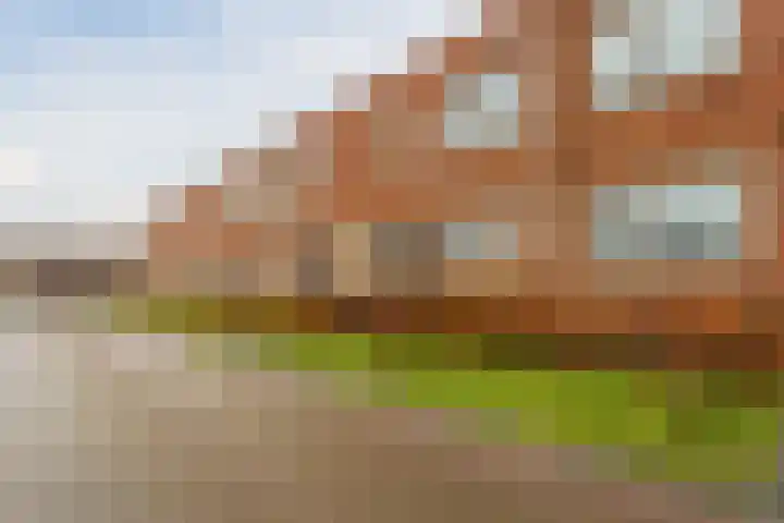 Laura Bassihof 88 Almere thumbnail 30