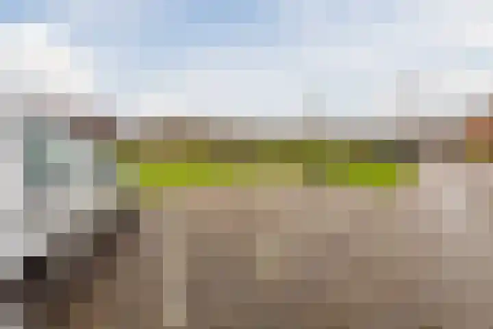 Laura Bassihof 88 Almere thumbnail 31
