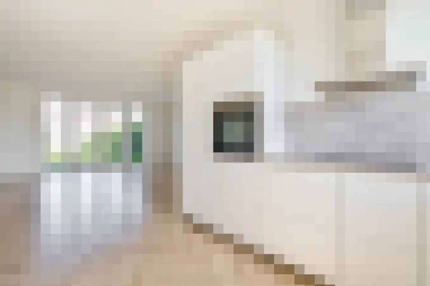Laura Bassihof 90 Almere thumbnail 7