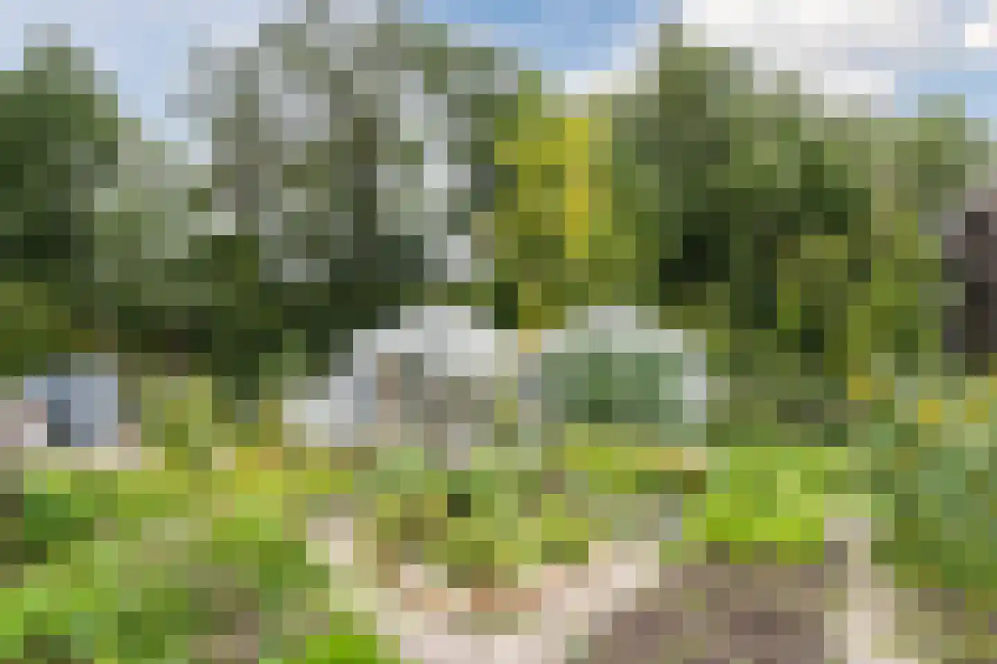 Laura Wernet-Paskelhof 6 Den Haag thumbnail 51