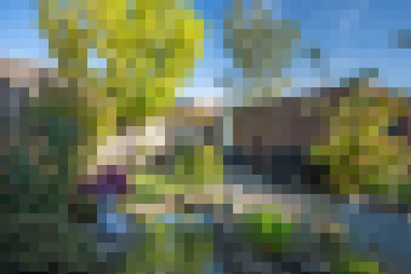 Laurastraat 106 Eygelshoven thumbnail 19