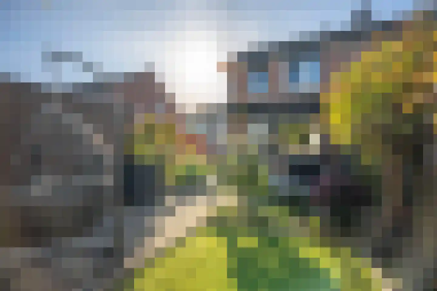 Laurastraat 106 Eygelshoven thumbnail 21