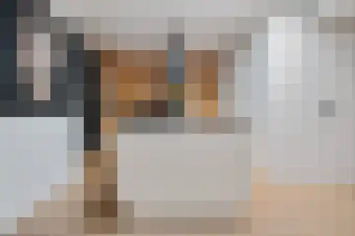 Laurastraat 13 Hengelo thumbnail 15
