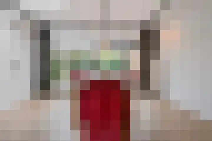 Laurastraat 13 Hengelo thumbnail 20
