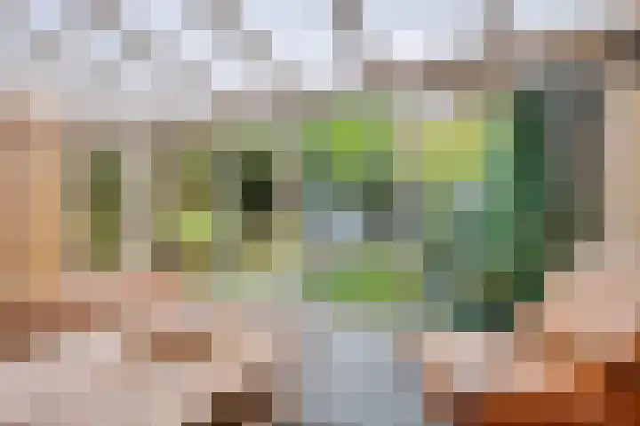 Laurastraat 13 Hengelo thumbnail 34